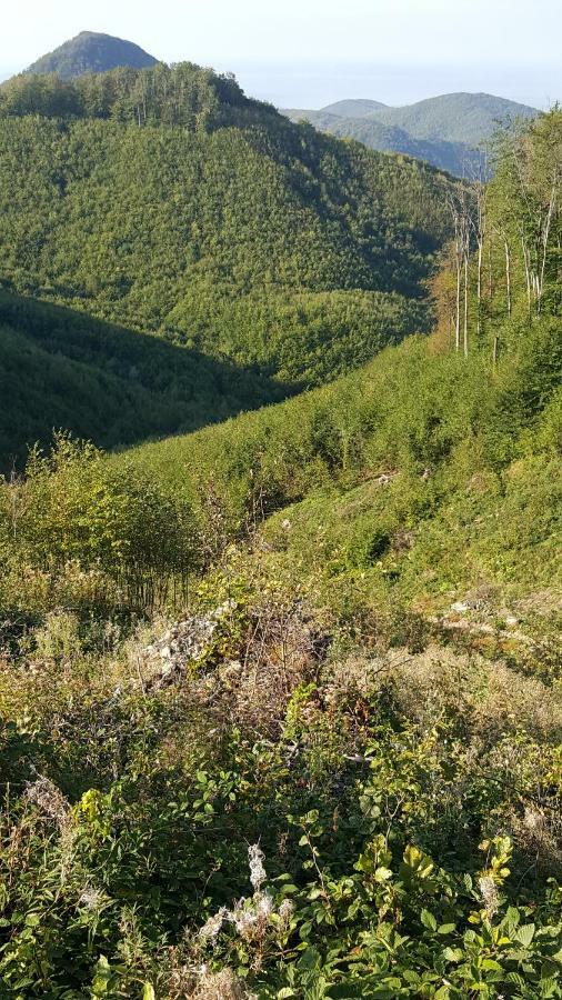 Отель La Bustea Hartagani Экстерьер фото